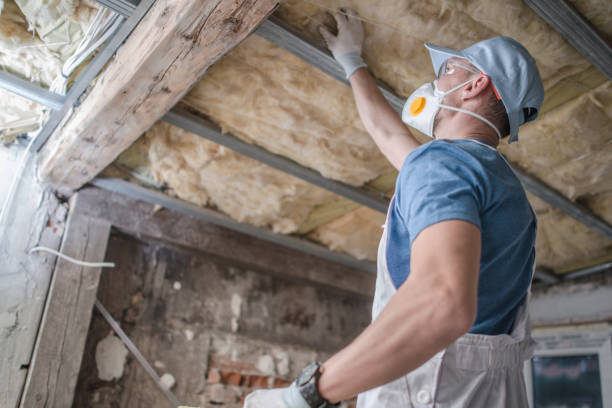 Professional Insulation Contractor in Coburg, OR
